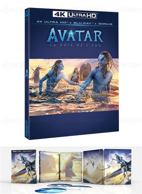 sortie avatar 2 en dvd.